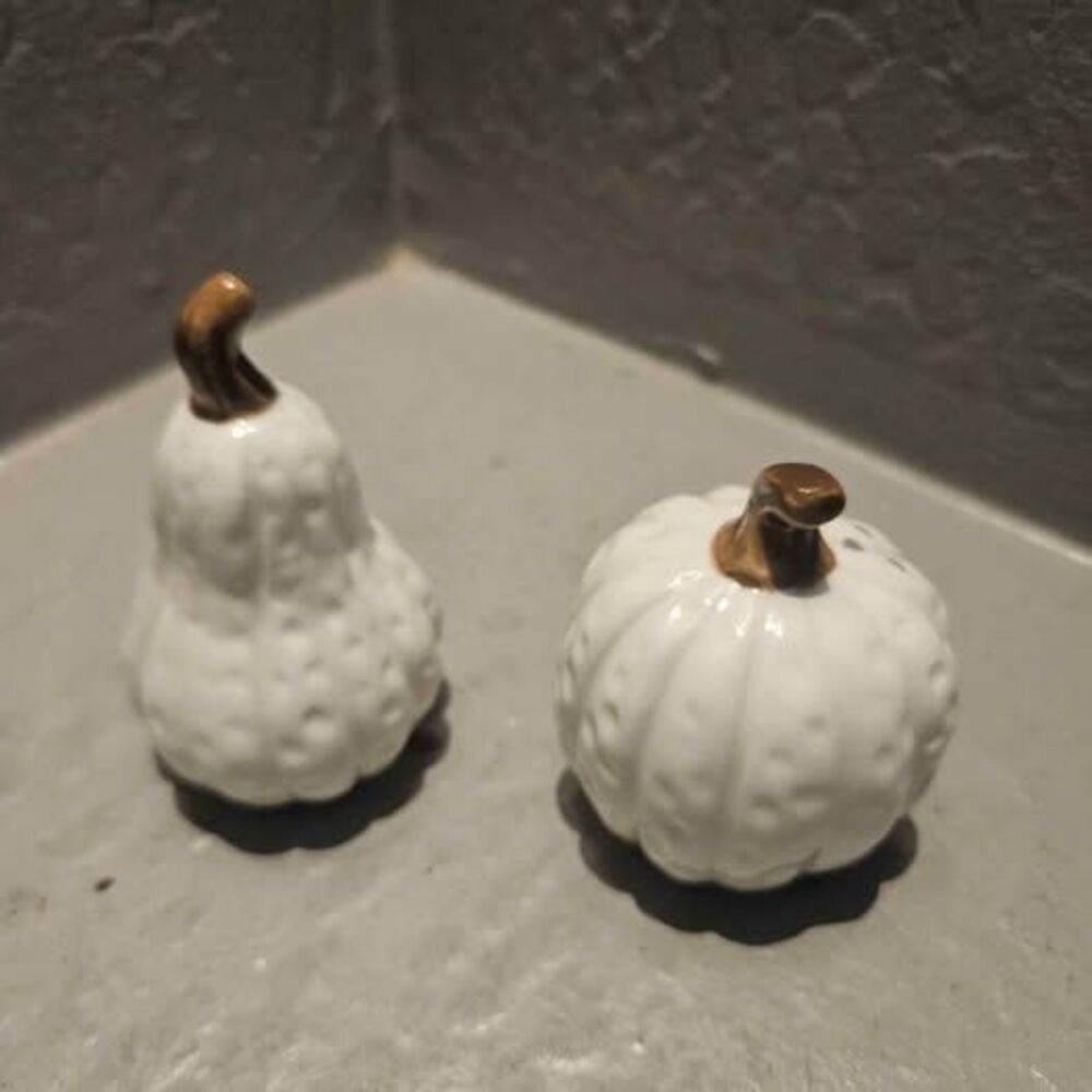 Hobby Lobby Ceramic Pumpkin and Gourd Salt and Pepper Shakers